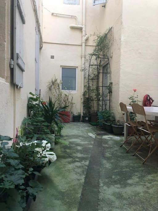 Studio Premium City Center شالو سور سون المظهر الخارجي الصورة
